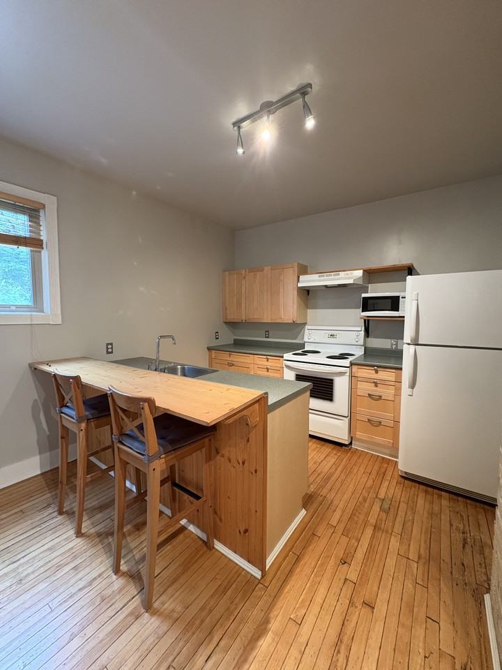 530 Aulneau St - Photo 7 of 20