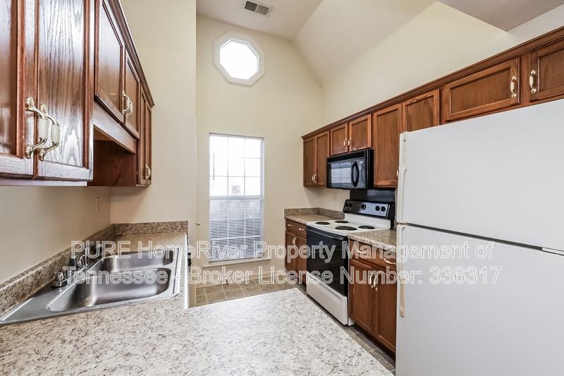4816 Pine Forrest Dr - Photo 5 of 17