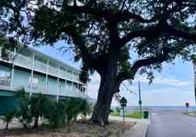 featured image of 1496 Beach Blvd