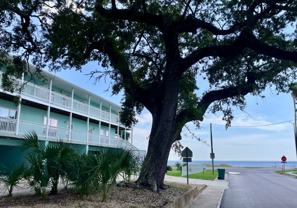 1496 Beach Blvd - Photo 1 of 1
