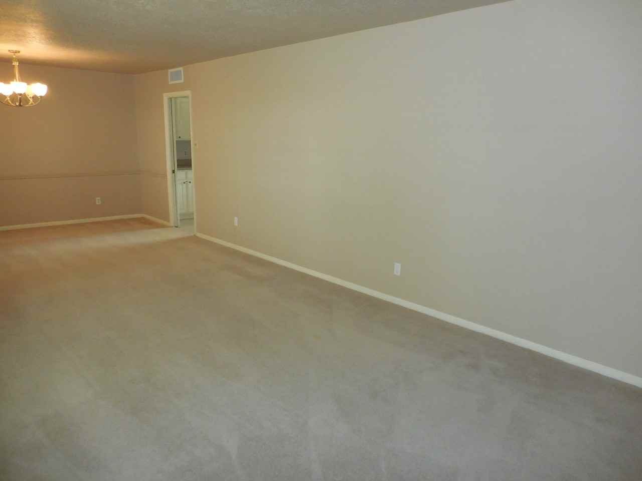 6308 Los Altos Dr #1 - Photo 4 of 50