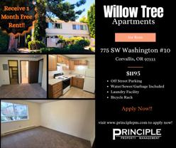 Willow Tree Apartments - Photo 1 of 1
