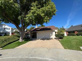 25515 Plaza Chiva - Photo 1 of 1