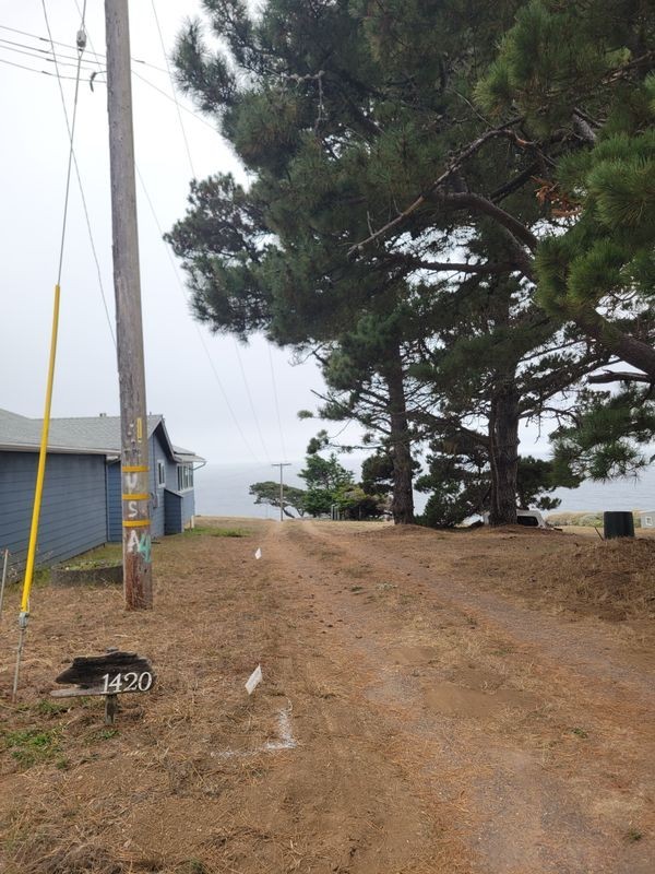 1420 Navarro Bluff Rd - Photo 4 of 31