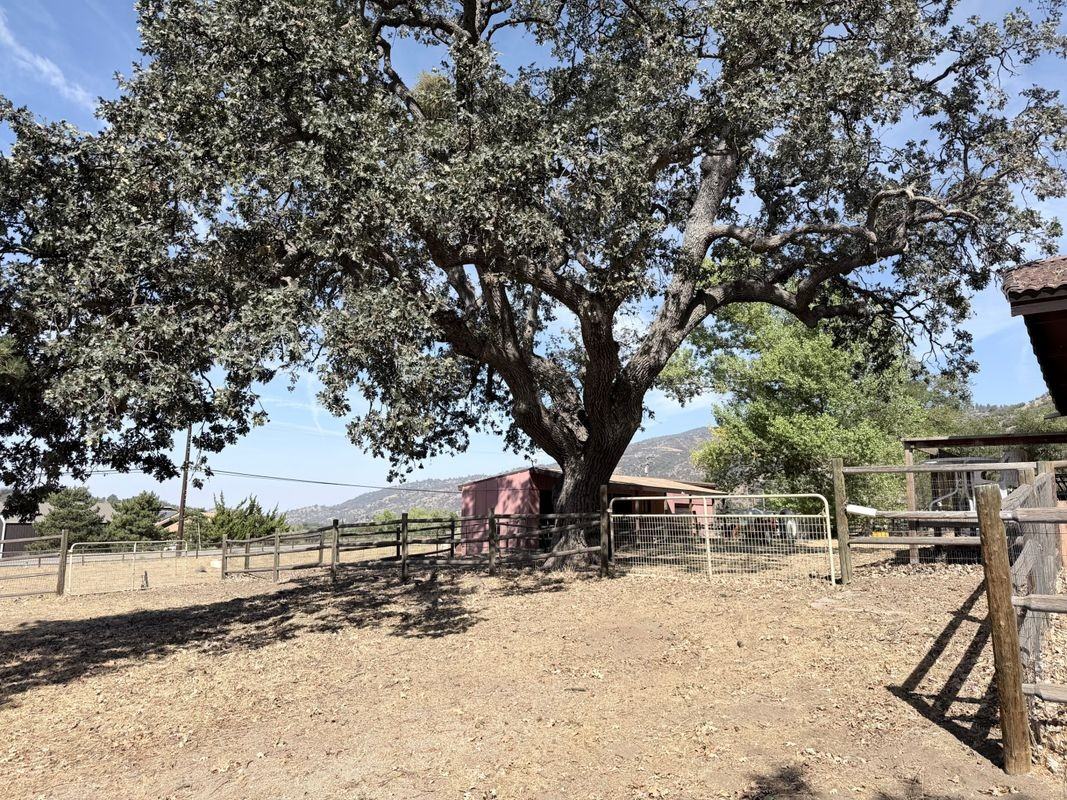 26141 Bear Valley Rd - Photo 3 of 35