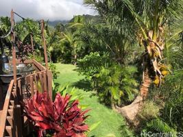 featured image of 630 Aipuni St