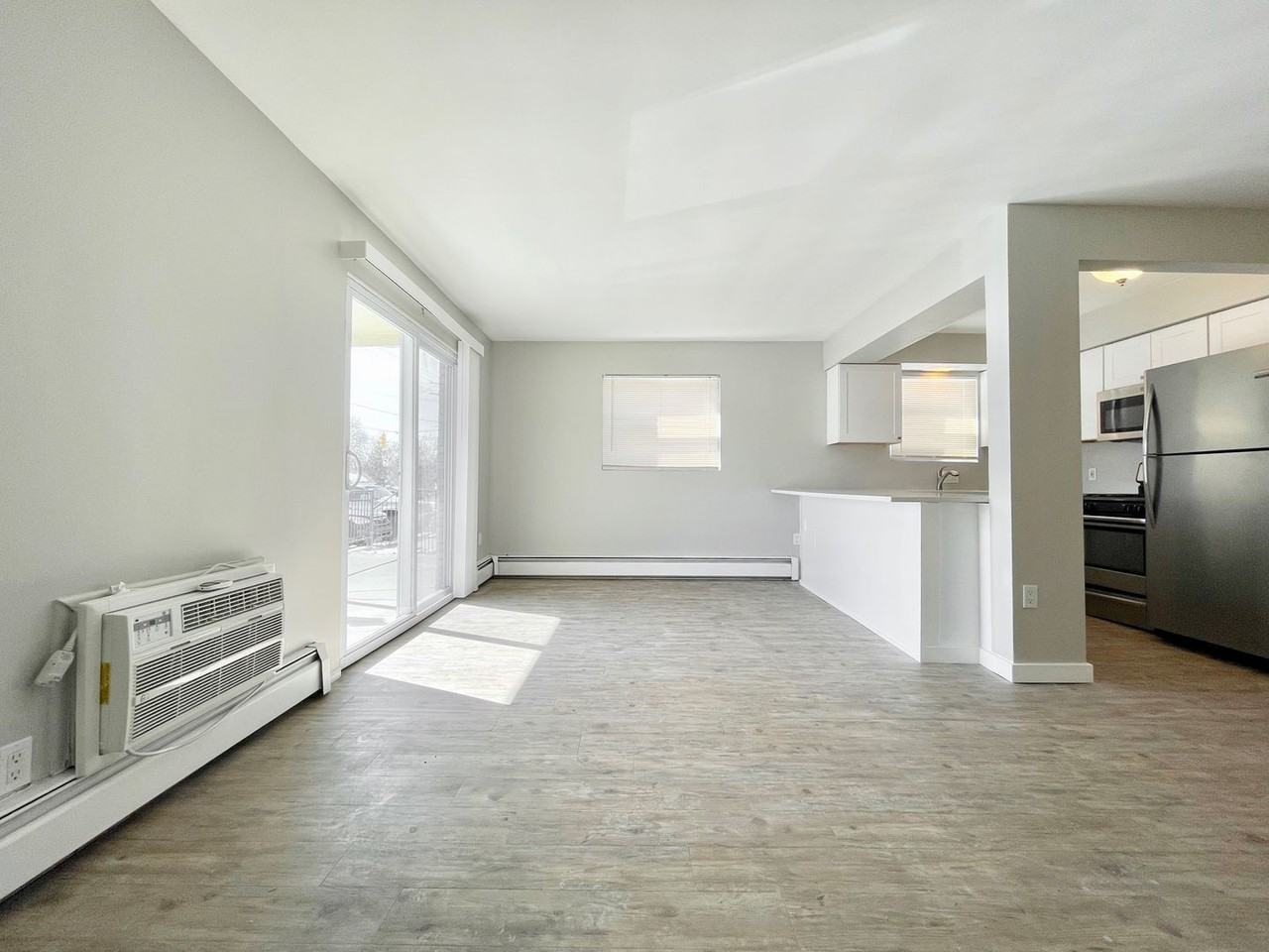 509 Knapp St Ne #1 - Photo 3 of 18