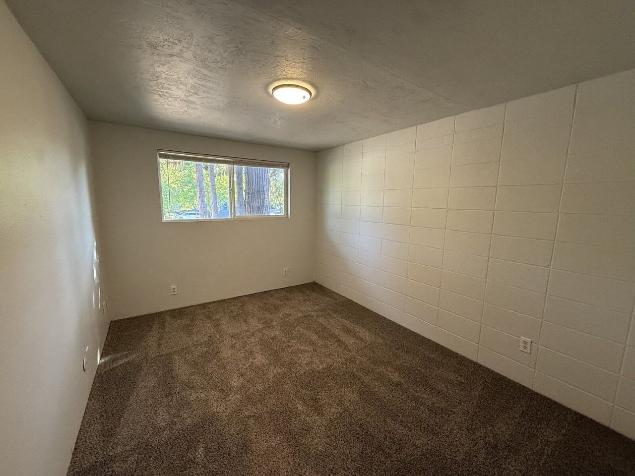 1005 W 7th Ave #6 - Photo 5 of 9