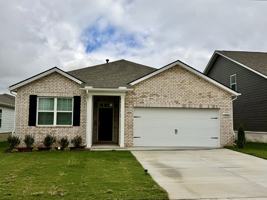 featured image of 4066 Amelia Ln