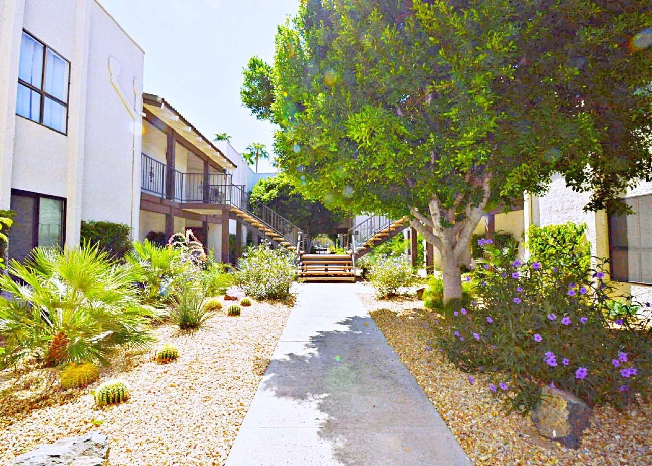 1150 E Palm Canyon Dr #62 - Photo 5 of 32
