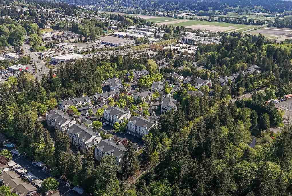 Montebello - Photo 5 of 47