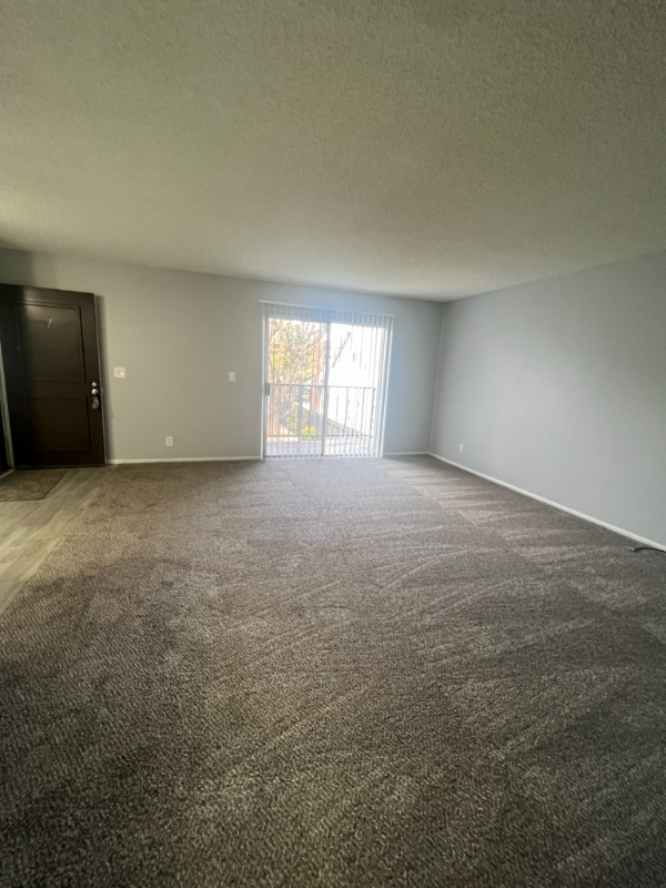 212 S Ohio St #7 - Photo 3 of 22