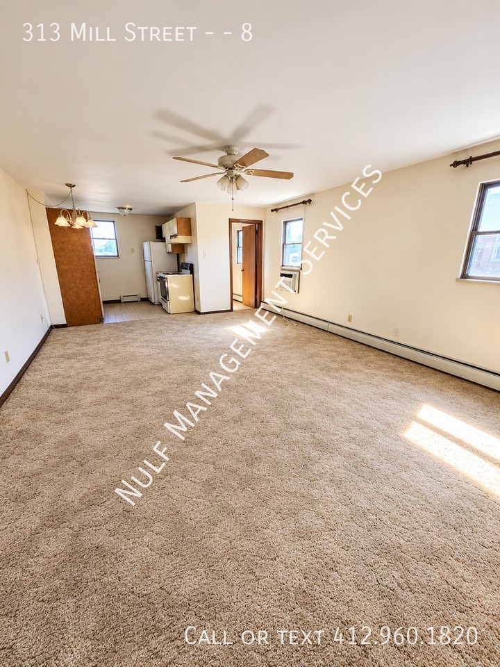 313 Mill St #8