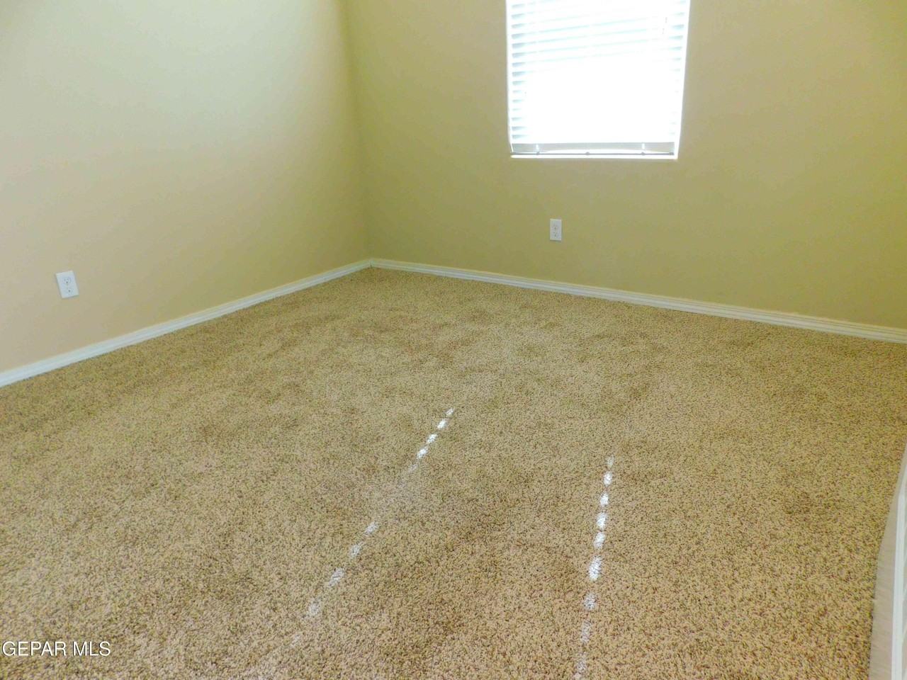 4088 Loma Dante Dr - Photo 4 of 33