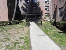 23 Schenck Ave #3AF - Photo 1 of 1