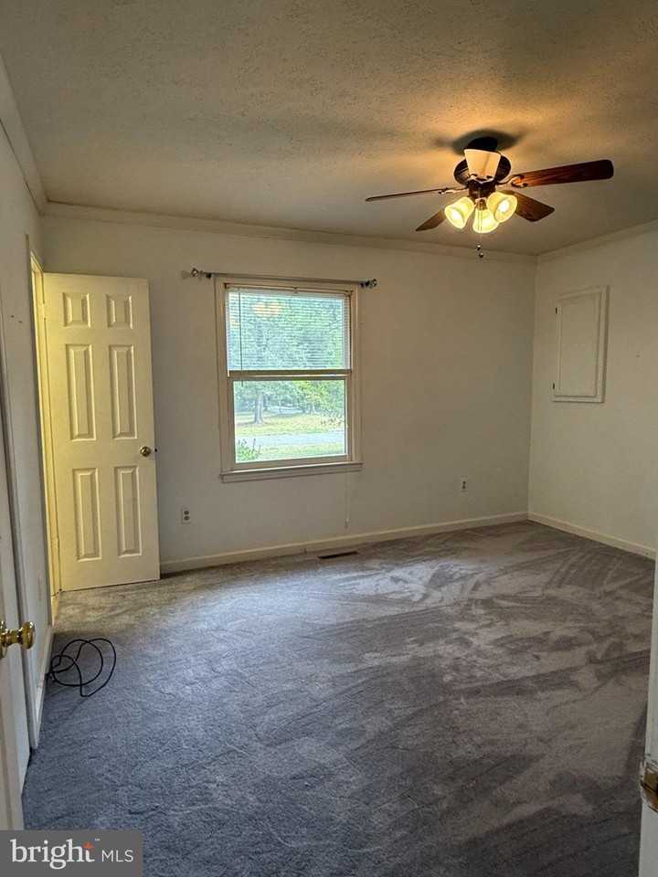 12129 Tall Pine Trl - Photo 6 of 23