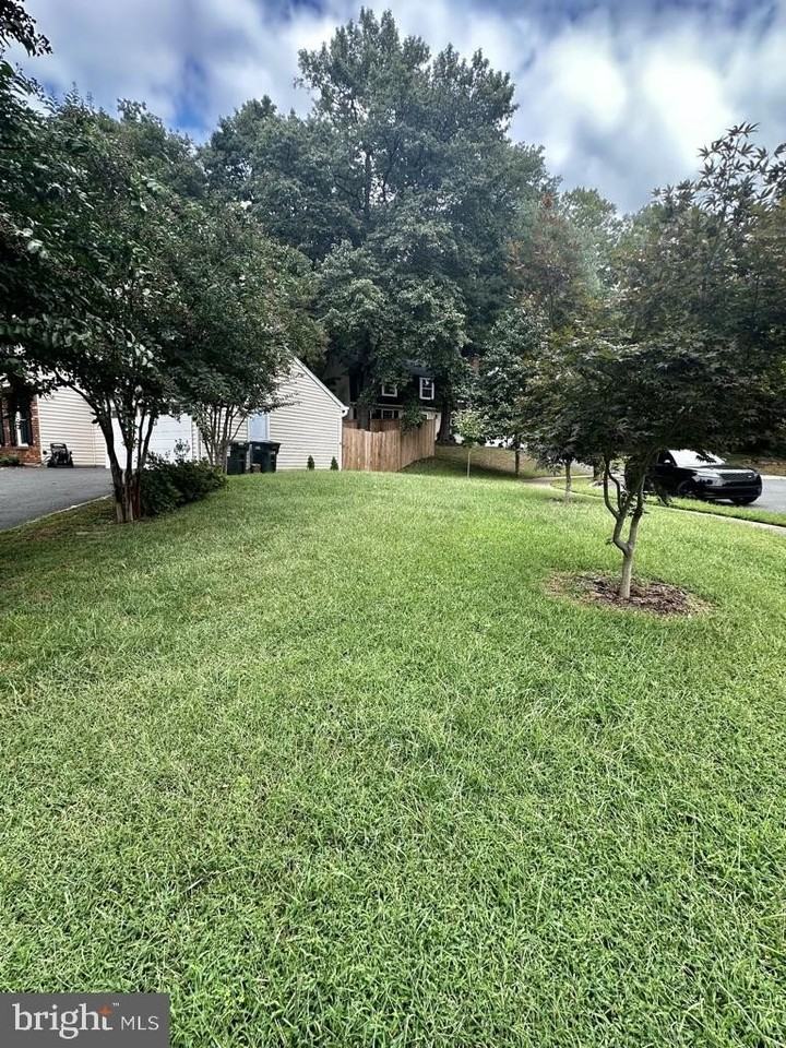 2281 Dosinia Ct - Photo 3 of 38