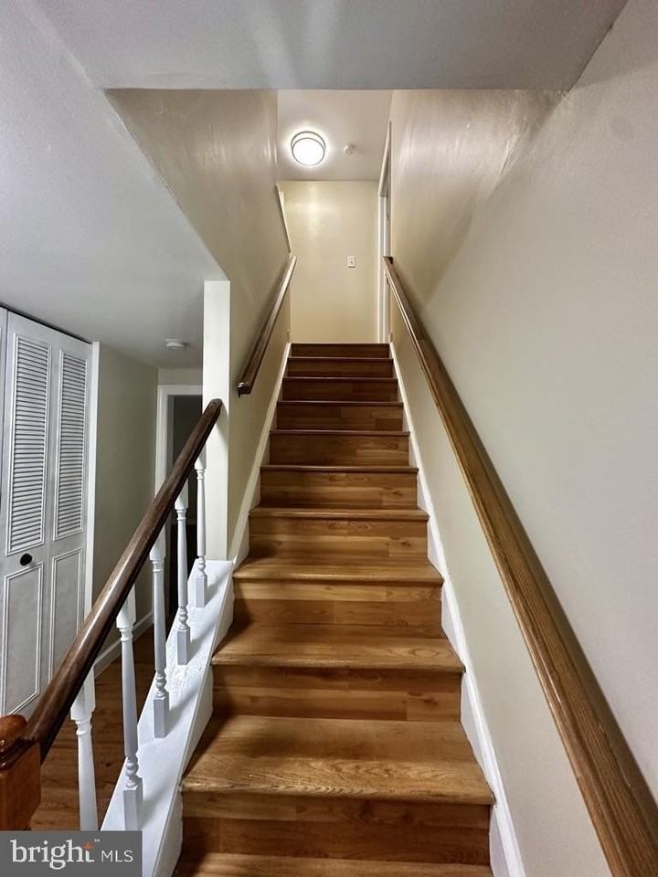 2281 Dosinia Ct - Photo 4 of 38