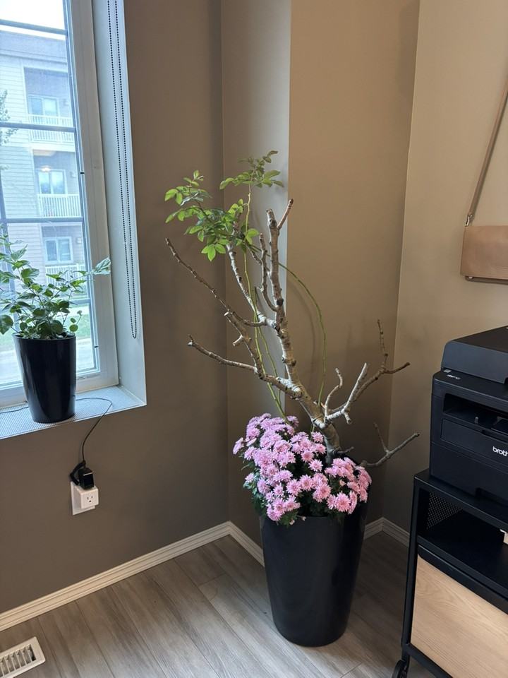 51 Park Valley Rd - Photo 2 of 4