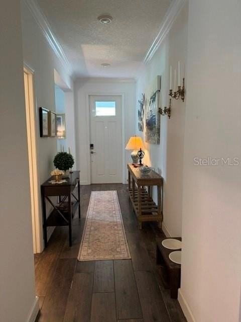 17222 Mango Shay Ct - Photo 6 of 25