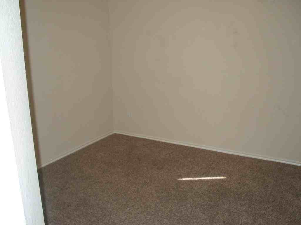 14013 Firebush Ln - Photo 3 of 10