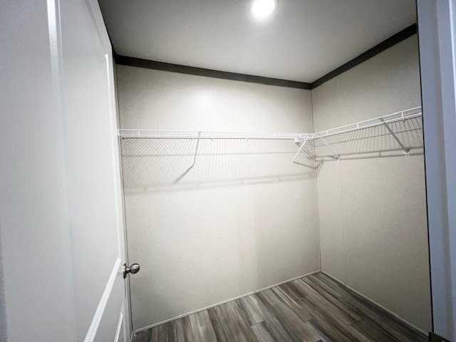 25168 Nuway Ave #121 - Photo 4 of 9