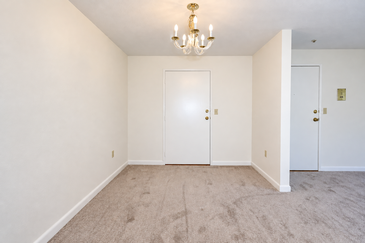 75 Elmwood Park #23 - Photo 6 of 10