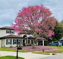 15924 Nottinghill Dr - Photo 1 of 1