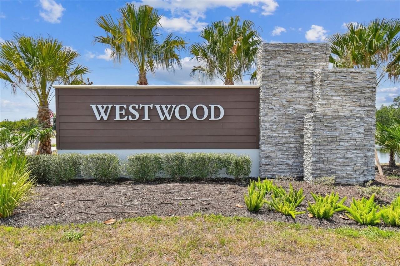 17253 Amber Aspen Way - Photo 2 of 50