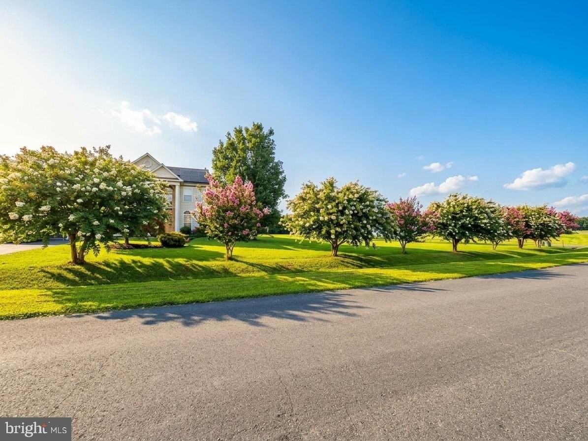 12936 Broadview Run Dr - Photo 4 of 50