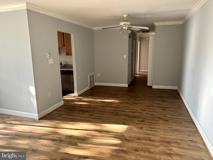 5600 Bloomfield Dr #203 - Photo 1 of 1