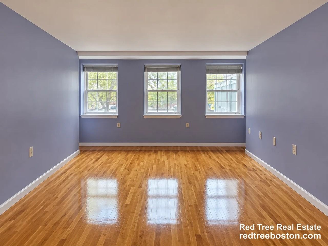 20 Daniels St #116 - Photo 3 of 11
