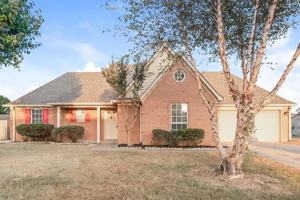 featured image of 7338 Lee Ann Dr