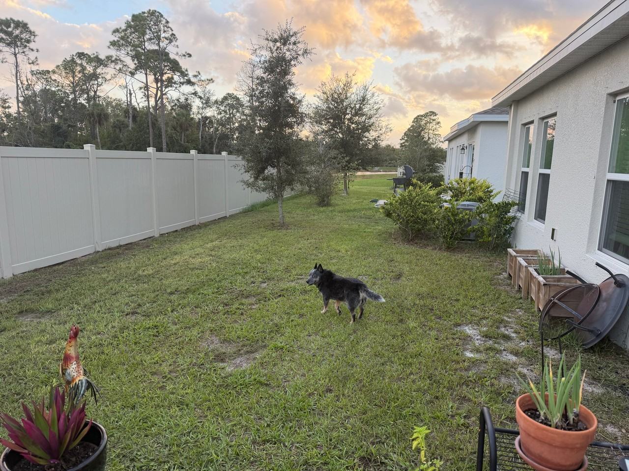 5306 Diamondleaf Dr - Photo 2 of 22