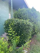 1104 Goldwire St Sw - Photo 1 of 1