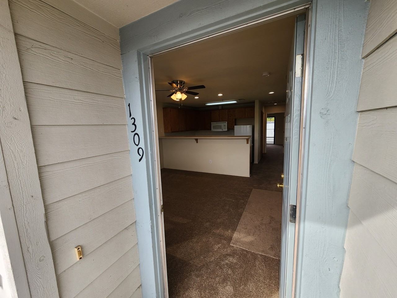 1309 Maurice Ave #1309