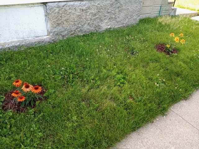 527 1st Ave E_527 - Photo 6 of 17