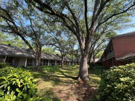 The Evangeline Apartments - Photo 1 of 1