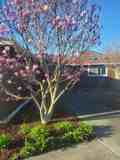 508 Eunice St #NA - Photo 1 of 1