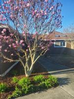 featured image of 508 Eunice St #NA