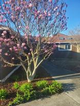 508 Eunice St #NA - Photo 1 of 1