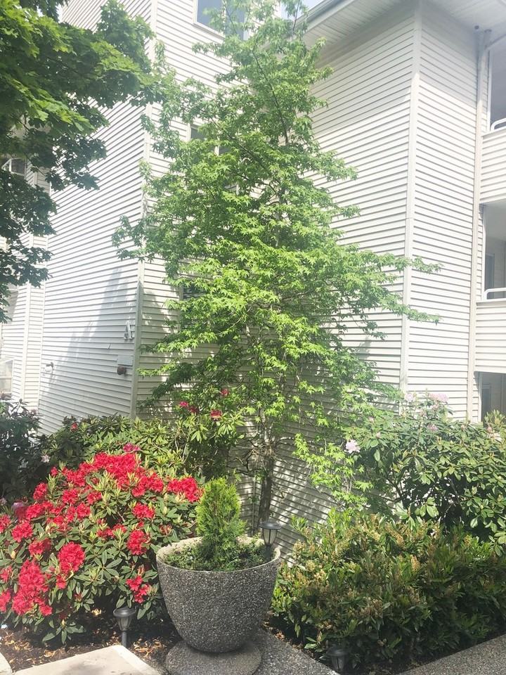Thornton Creek Apartments - Photo 6 of 18