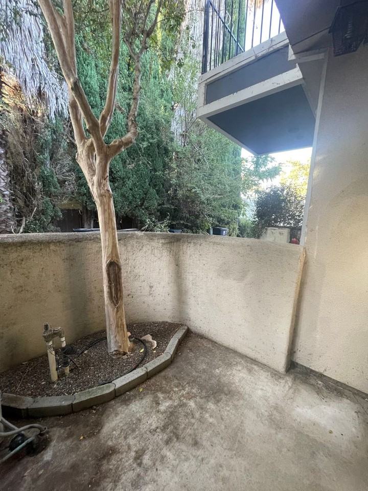 1904 6th St - Photo 6 of 17