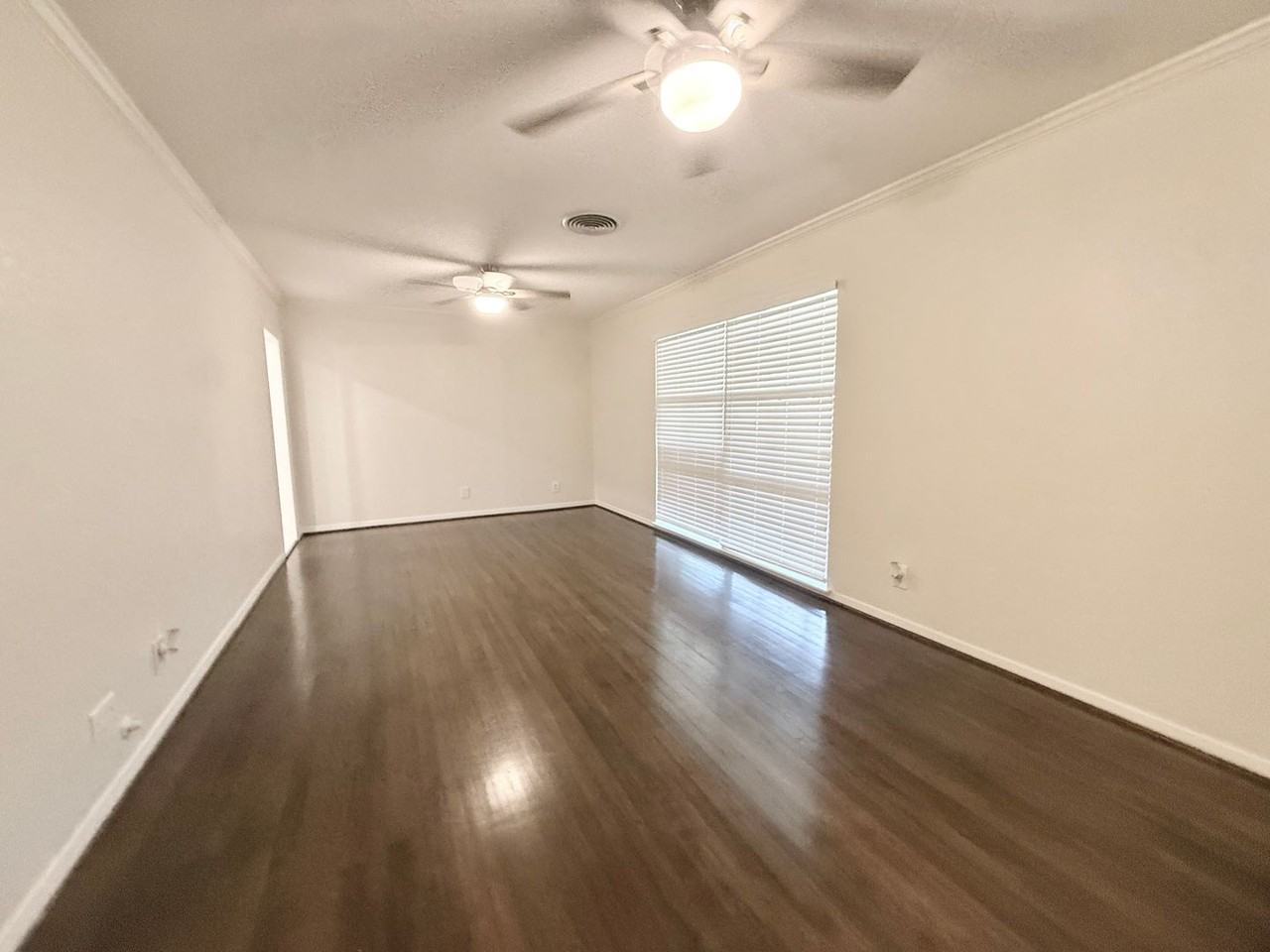 233 Caladium St - Photo 6 of 29