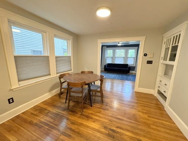 238 Hyde Park Ave #1 - Photo 5 of 14