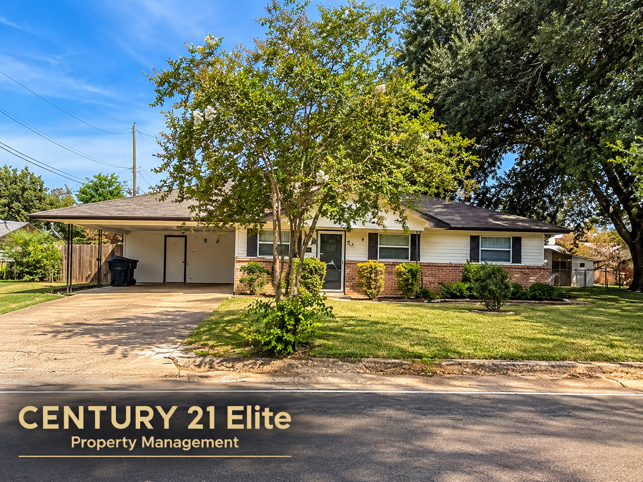1609 Shady Grove Dr - Photo 2 of 50