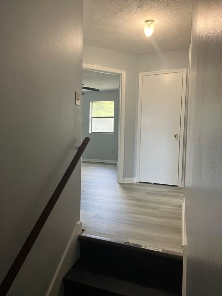 1206 Shalom Dr - Photo 4 of 19