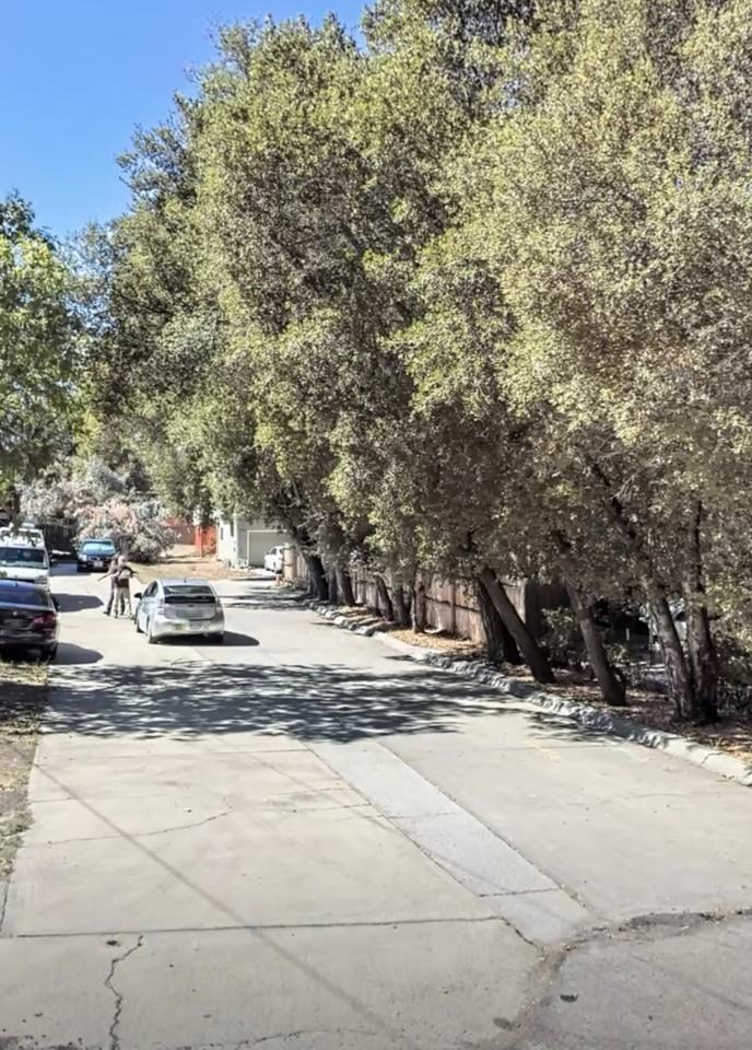 7620 Cristobal Ave #NA - Photo 2 of 8