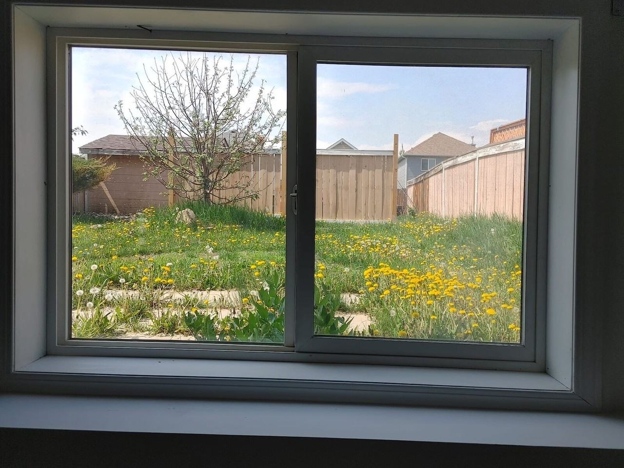 128 Bridleridge Gdns Sw - Photo 3 of 12