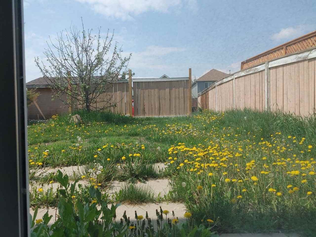 128 Bridleridge Gdns Sw - Photo 4 of 12
